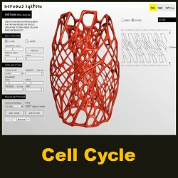 Cell Cycle - dynamic physible / webGL design app