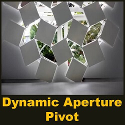 Dynamic Aperture - Pivot