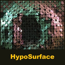 HypoSurface - MIT