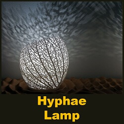 Growing a Hyphae Lamp