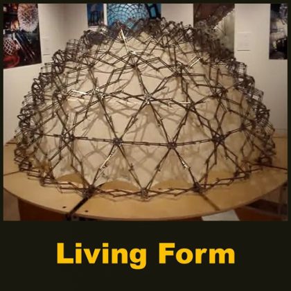 Living Form - Parametric Design