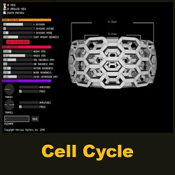 Cell Cycle by Nervous System
