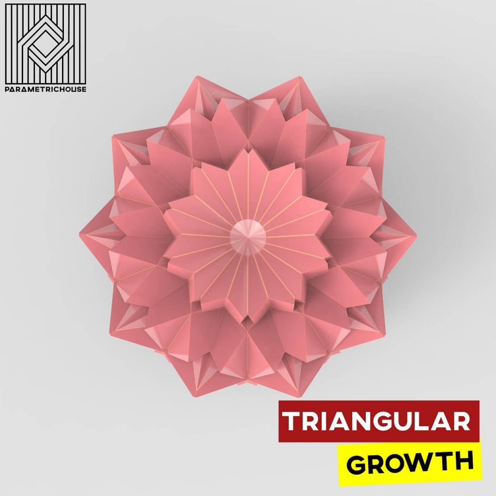 Triangular Growth | Parametric House