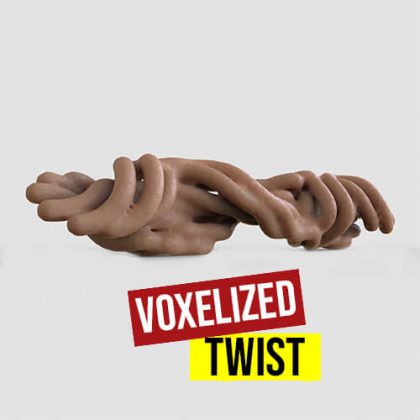voxelized twiste-500
