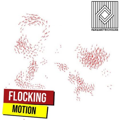 Flocking Motion Grasshopper3d Definition