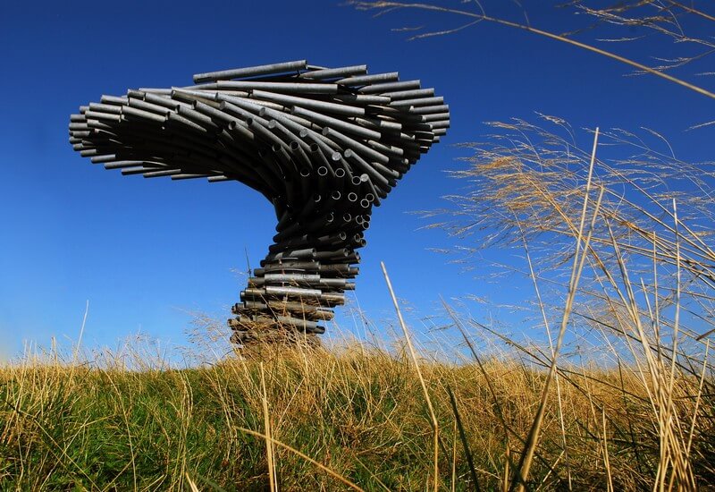 Singing Ringing Tree' | I thought I had picked the wrong da… | Flickr