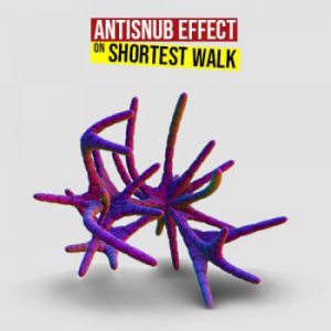 Antisnub Effect on Shortest Walk