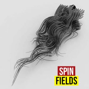Spin Fields Grasshopper3d Stella3d plugin
