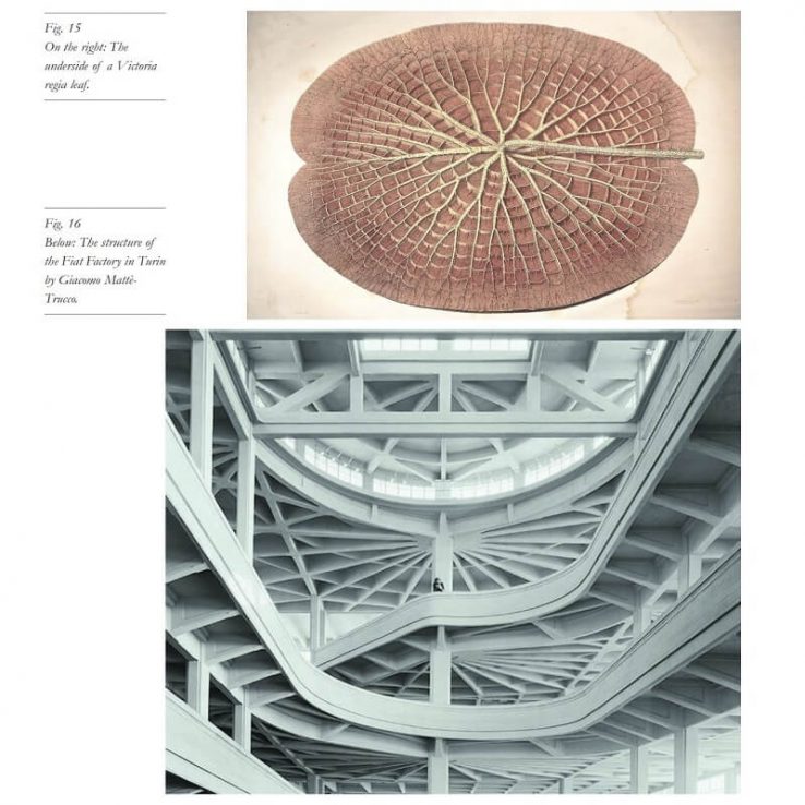 biomimicry architecture thesis pdf