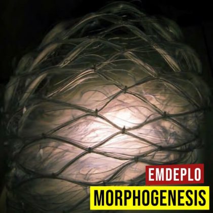EmDeplo Morphogenesis