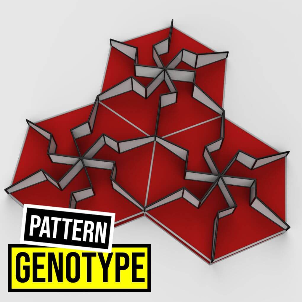 Genotype Pattern
