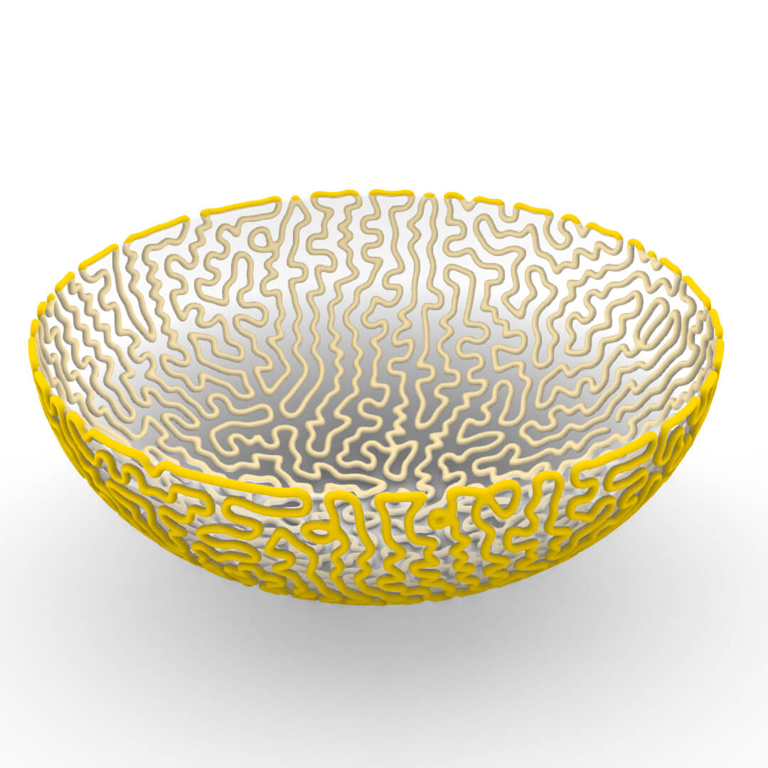 Differential Growth Bowl