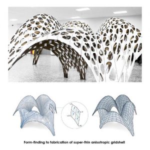 Super-Thin Anisotropic Gridshell