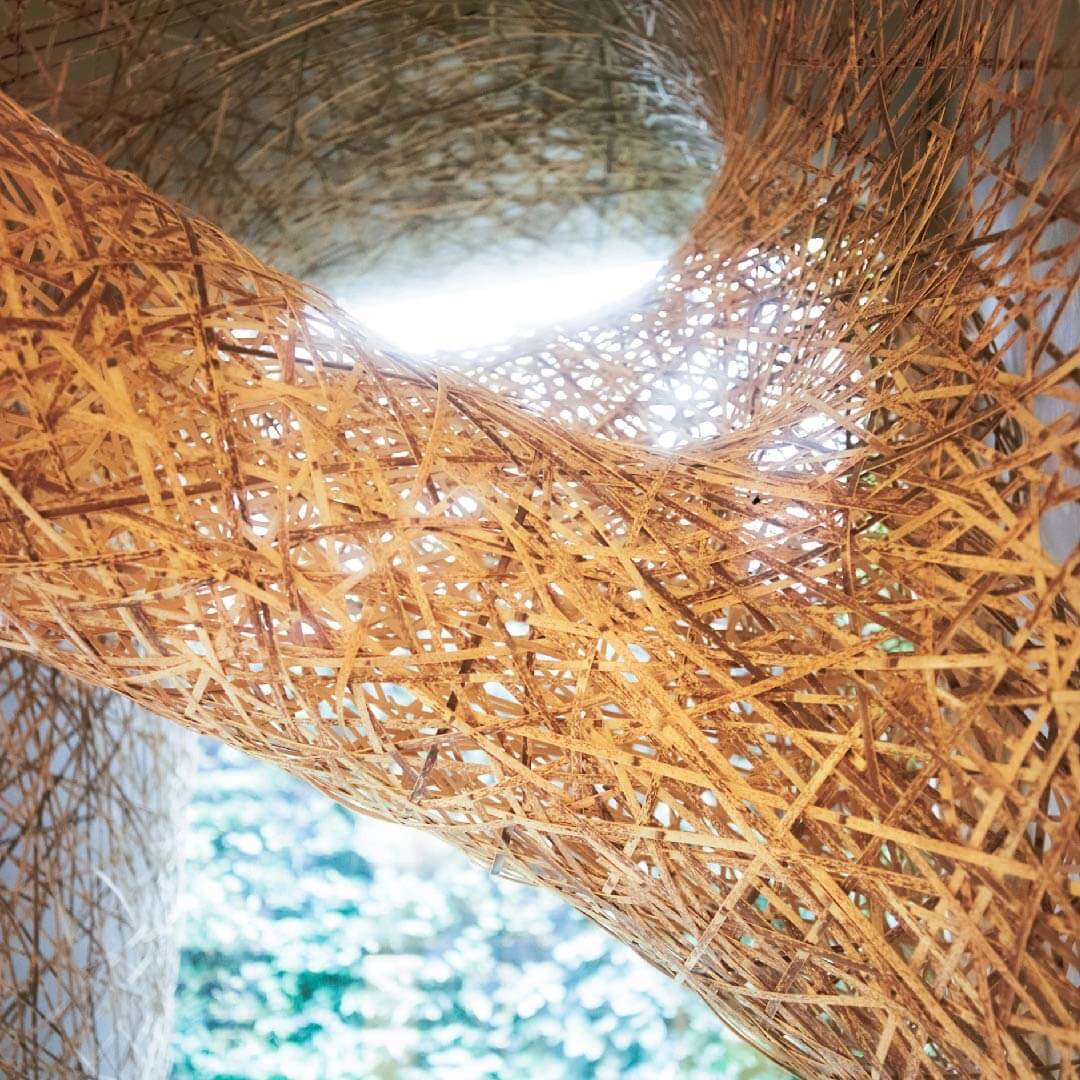 Twisting Bamboo Installation