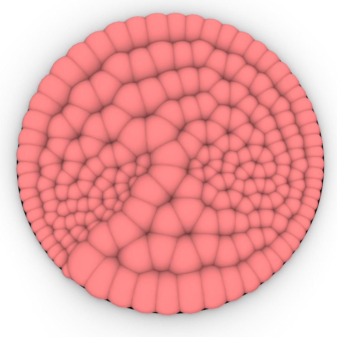 Circle Packing Attractor