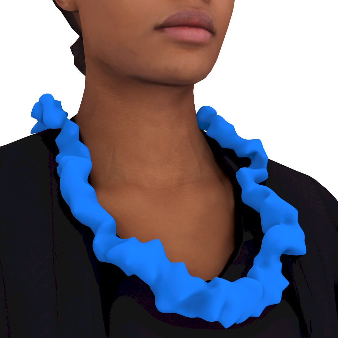 Differential Growth Necklace