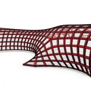 Kangaroo Shell Structure