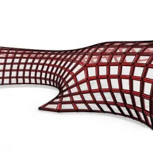 Kangaroo Shell Structure