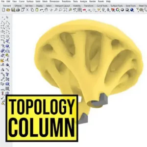 Topology Column