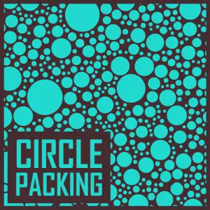 Circle Packing