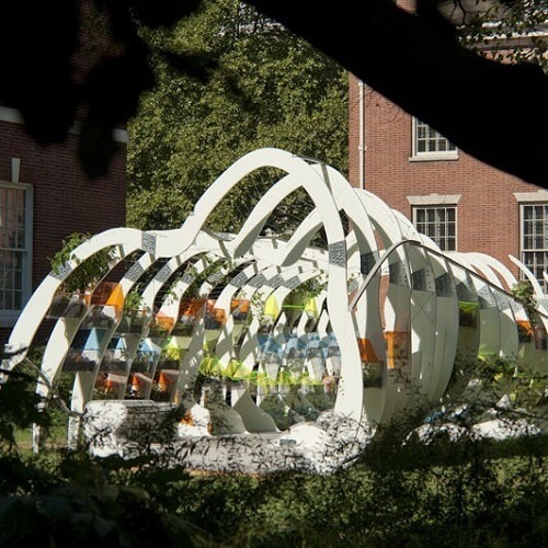The Greenhouse and Cabinet of Future Fossils