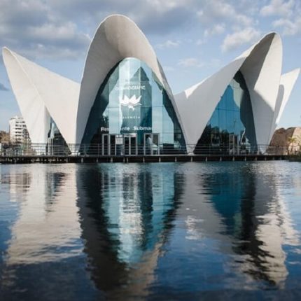 Optimized Shell - Parametric House