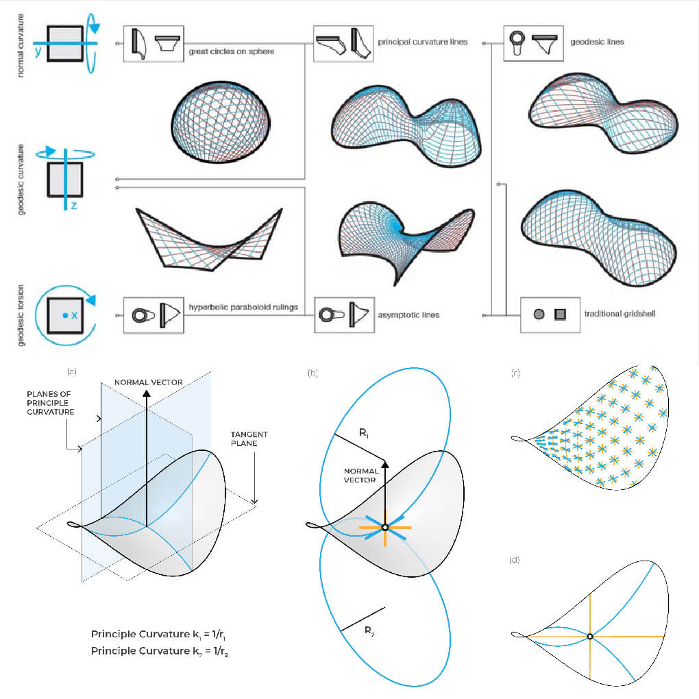 Asymptotic Gridshell