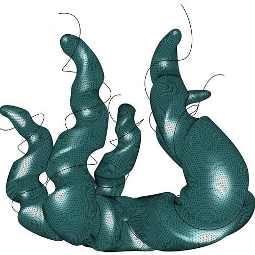 Cocoon Grasshopper3d Plugin