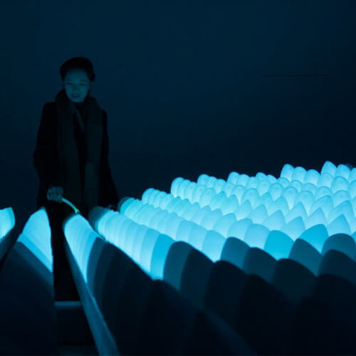 Wavelet Interactive Art Installation