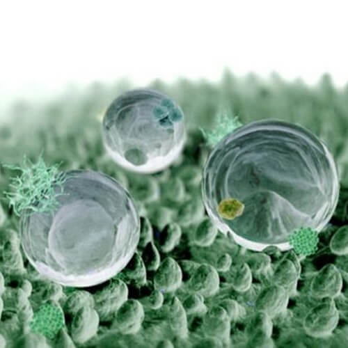 Naturally Inspired Design