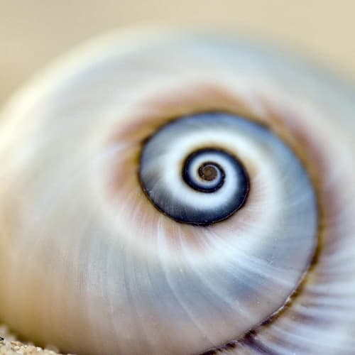 Biomimicry Examples #1 - Nacre Structure