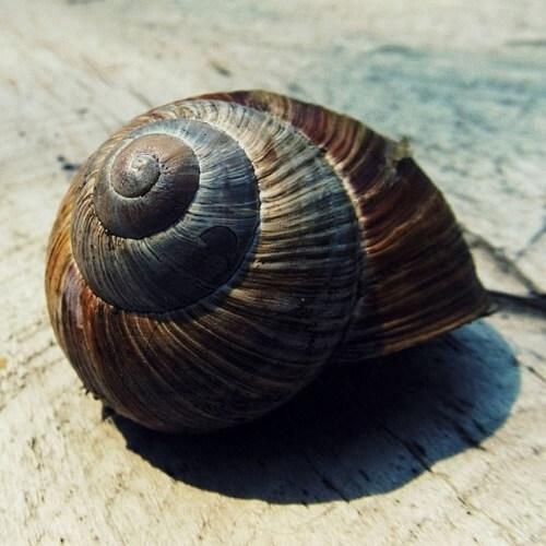 The Digital Workflow of Parametric Structural Design Developing Grid Shells in a Nordic Climate