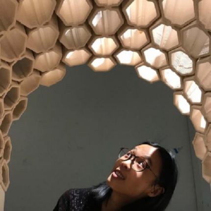 3D Printing with Clay - Parametric House
