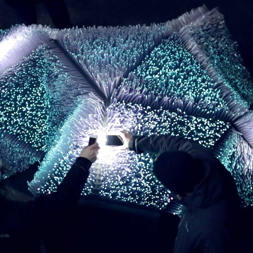 Light Pollination Installation