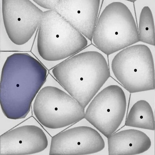 The Parametric Process