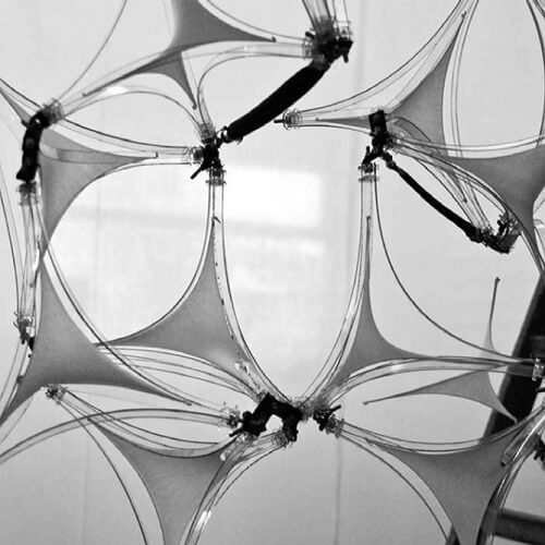 Environmental Feedback and Spatial Conditioning