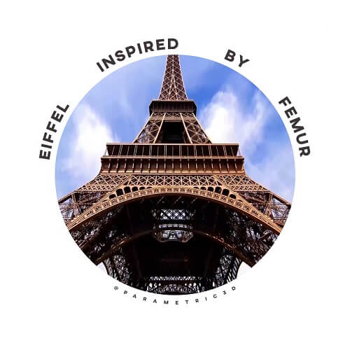Eiffel Inspired by Femur