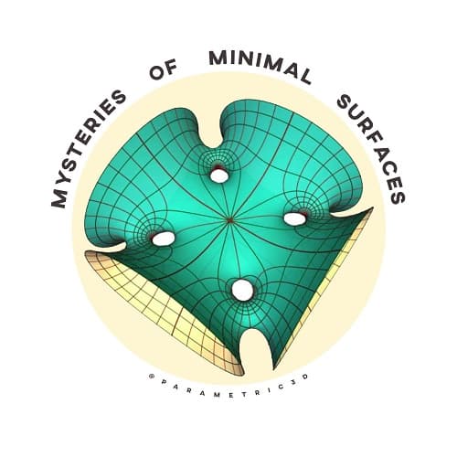 Mysteries of Minimal Surfaces