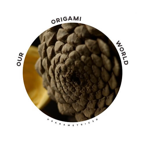 Origami World