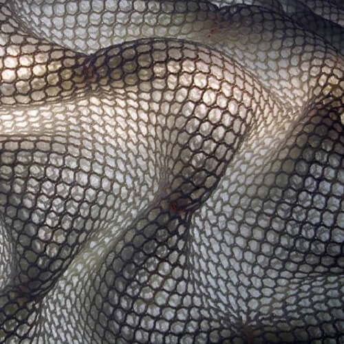 Algorithmic Facade Design