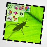 rhino grasshopper tutorial